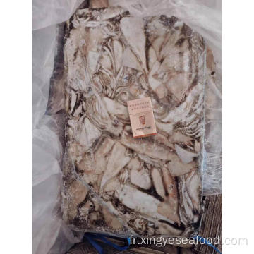 Frozen arrow Squid (nootodarus sloanii) 300-400g